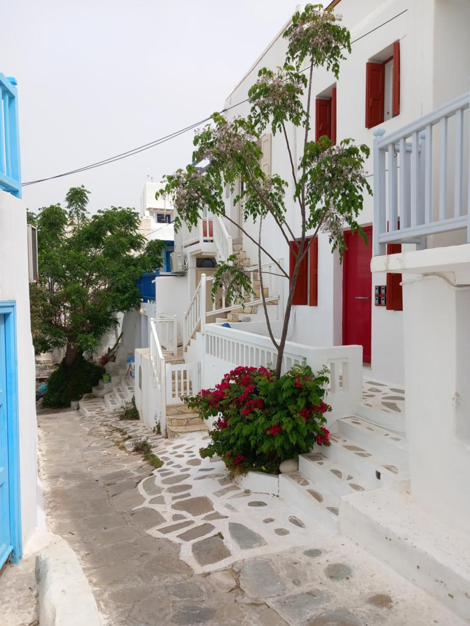 Alex Oldtown Sea View Rooms And Appartments Mykonos Town Bagian luar foto