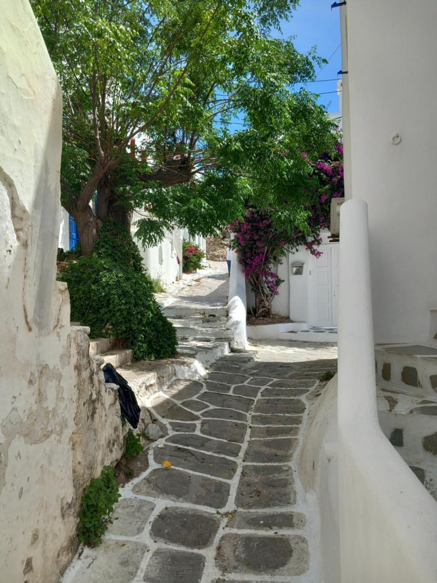 Alex Oldtown Sea View Rooms And Appartments Mykonos Town Ruang foto